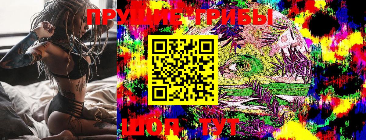 Псилоцибиновые грибы Cubensis Апатиты