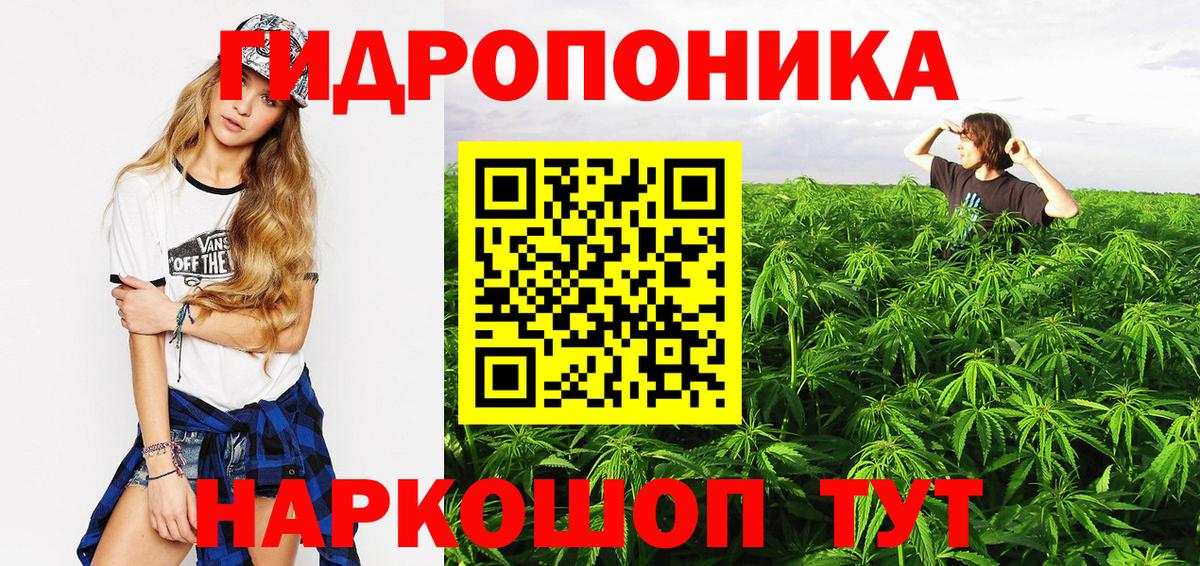 Апатиты  Шишки марихуана гибрид  МАРИХУАНА VHQ  Бошки Шишки VHQ  МАРИХУАНА Ganja  Вход с VPN 